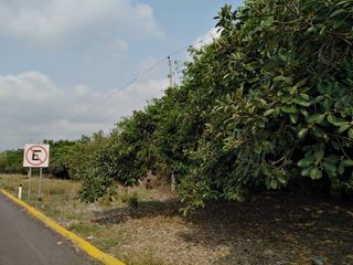 Terreno de 9 HECTÁREAS en venta sobre la carretera cuota Veracruz-Córdoba