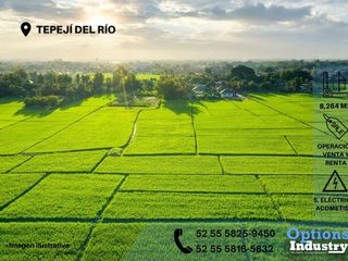 Tepejí del Río for sale or rent of industrial lots