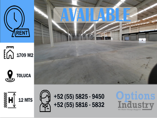 Industrial warehouse for rent in Toluca