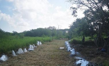 Terreno en venta en a 15 minutos de la playa de Santa Clara, Yucatán