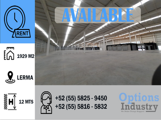 Industrial warehouse rental in Lerma