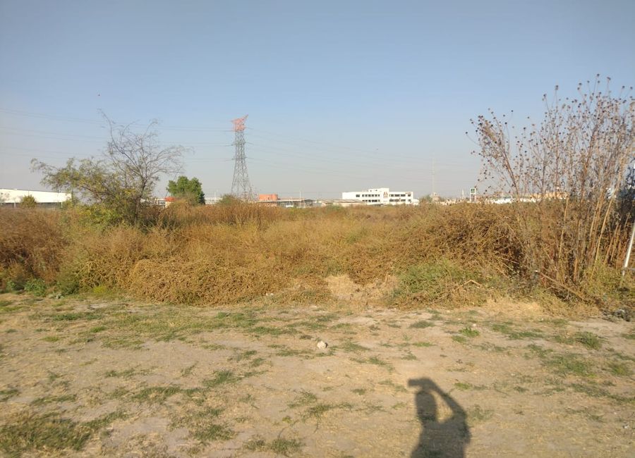 place photo 4