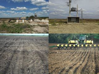 Terreno en venta 3,250 hectáreas de Uso Agrícola, Oxkutzcáb, Yucatán