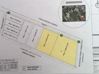 Vendo lotes de 1000 m2 y 500 m2 en chipilo pue