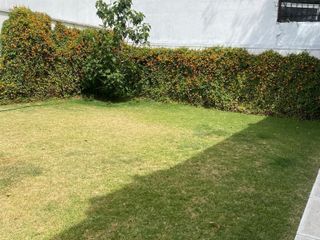 Vendo casa para remodelar con lindo jardín en colonia Real de Las Lomas, CDMX.