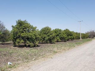 TERRENO EN VENTA por la morita MONTEMORELOS NUEVO LEÓN