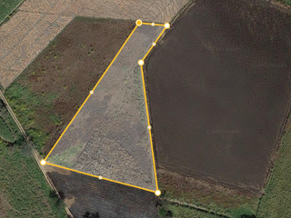 Vendo terreno agricola de riego de 7,150 m2 , en Alpuyeca Morelos