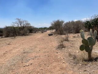 TERRENOS EN VENTA EN TEQUISQUIAPAN