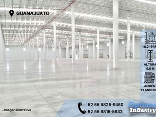 Immediate rent of industrial warehouse Guanajuato