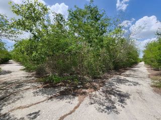 Terreno de 1 Hectárea en Venta, Kikteil, Mérida, Yucatán