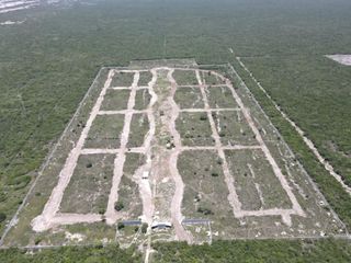 Terreno en venta, San Crisanto, Sinanché, Yucatán.