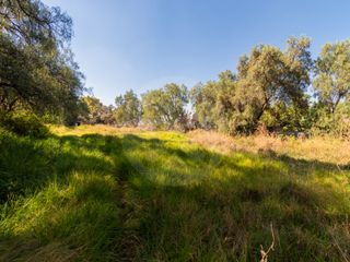 Terreno para desarrollar Terreno residencial en venta en Colinas del Bosque