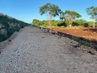 Terreno de 11,889 m2 en Dzununcán Yucatán | Cerca del Tren Maya