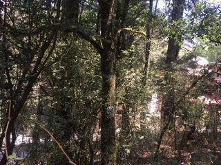 Terreno - Fraccionamiento Bosques de San Cayetano