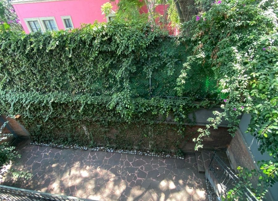 place photo 36