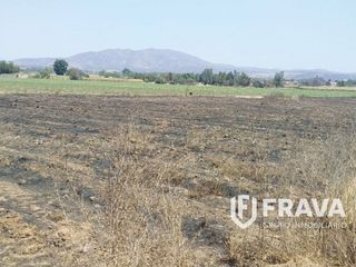 TERRENO EN VENTA EN EJIDO TALA