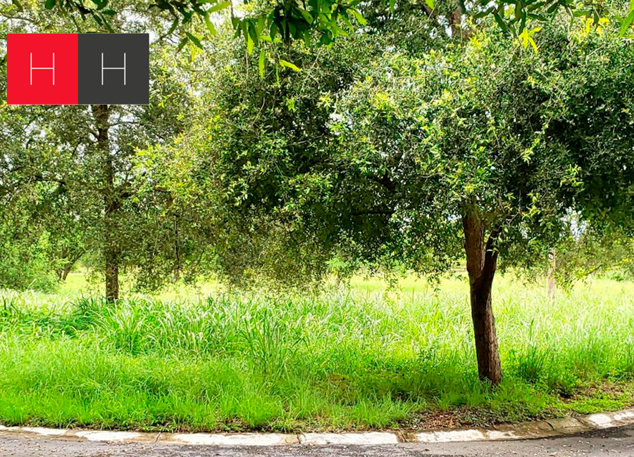 Terreno en venta Canoas, Montemorelos, N.L