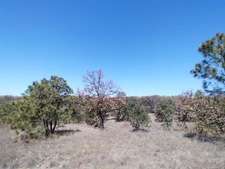 Terreno en Venta en La Primavera - Ex Hacienda La Primavera