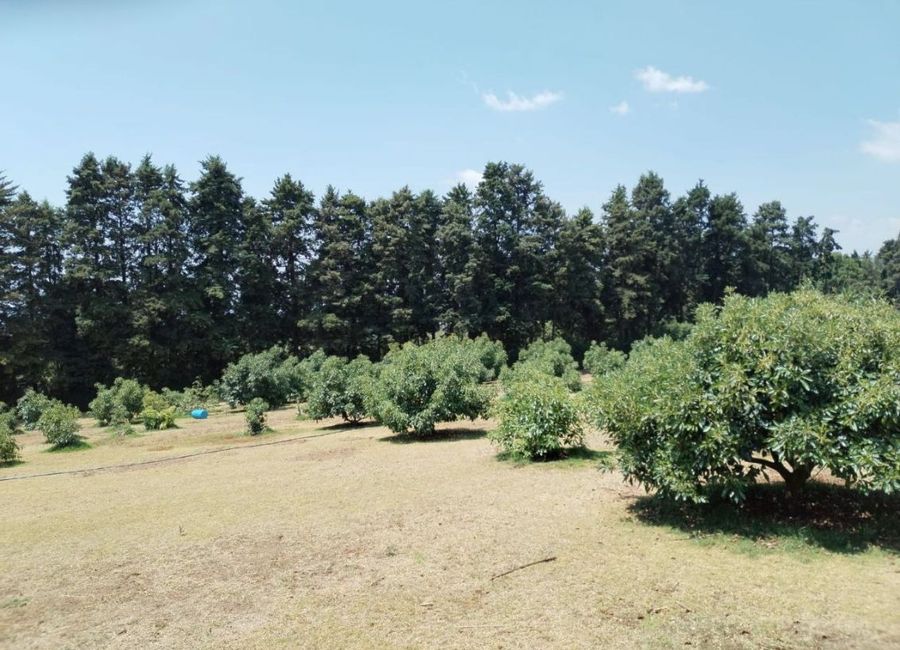 Rancho en Ahuatenco Ocuilan - CRB-1084-Ra# | Lamudi.com.mx