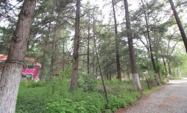 TERRENO EN FRACC. RESIDENCIAL BOSQUES DE CUAUHYOCAN, CERCA DE HARAS DEL BOSQUE