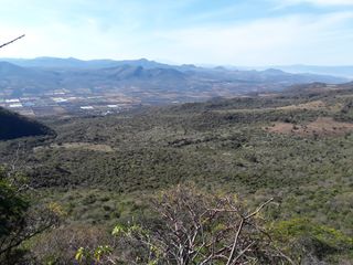 Terreno para Agave en Ribera de Chapala