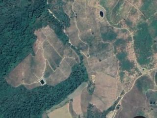Mega huerta Aguacate en producción 330 hectáreas cerca de Avandaro, Edomex