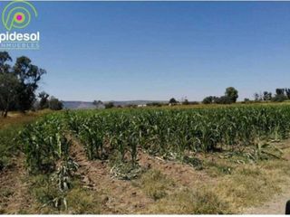 Rancho en venta de riego Pabellon de Hidalgo Ags con agua 14 hectáreas siembra