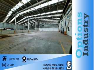 Warehouse for rent in HIDALGO