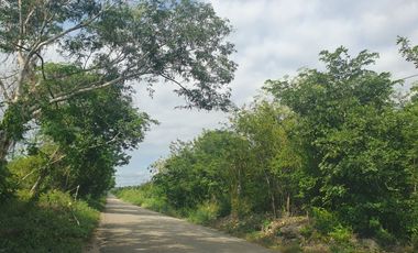 TIMUCUY, TERRENO EN VENTA, TIMUCUY, YUCATÁN