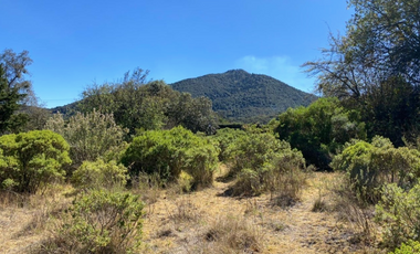 Terreno en Jilotzingo