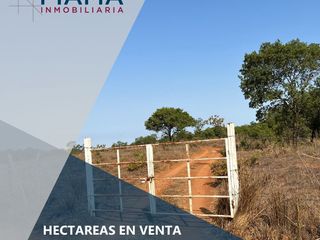 4.6 HECTÁREAS EN VENTA EN EL POBLADO EL RINCON, TEPIC, NAY (EL)