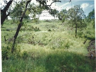PRO4023 Terrenos en Venta, El Nogalito en Tamaulipas