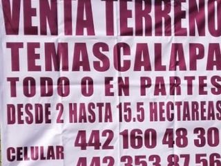 VENTA CARRETERA OTUMBA-TIZAYUCA EN TEMASCALA TERRENO NO EJIDAL DESDE 20,000 METROS 2 TOTAL 15.7 HECTARIAS