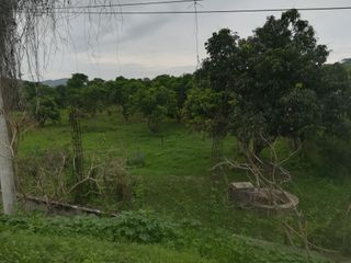 Terreno de mas de nueve hectáreas en El Bejuco