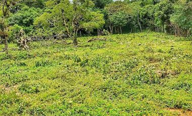 Terreno Campestre en Venta en Berriozabal