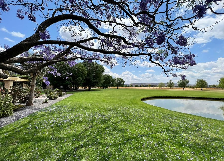 APARTA TU TERRENO EN RANCHO EL RECUERDO!! SALAMANCA, GTO | Lamudi.com.mx