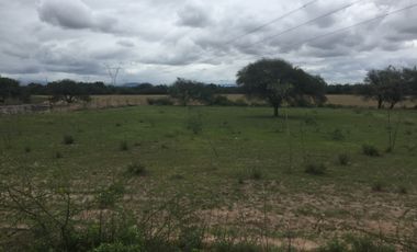 Terreno de 1 hectárea en Sauz, Pedro Escobedo, Querétaro