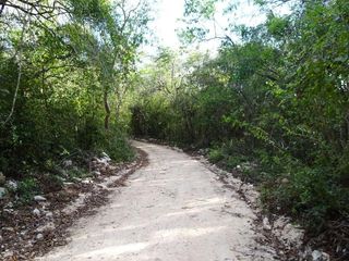 Terrenos en venta en la bella Uayma Yucatán