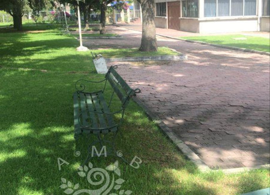 place photo 15