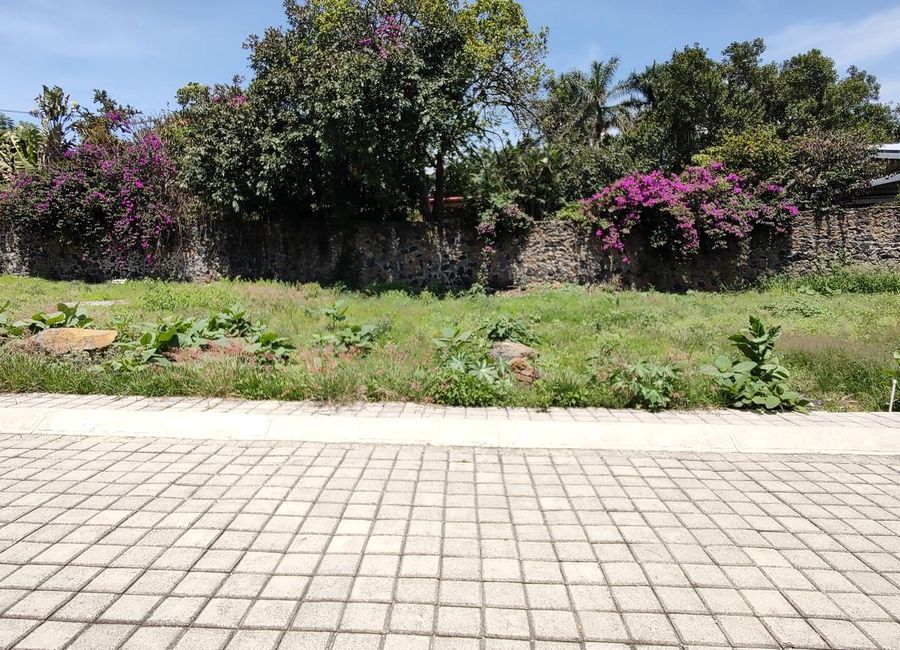 place photo 14