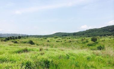 Terreno 276 hectareas en venta en Nayarit del Oro $ 115,000,000