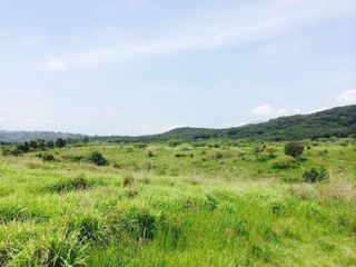 Terreno 276 hectareas en venta en Nayarit del Oro $ 115,000,000