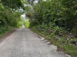 Terreno sobre carretera Tinum Yucatan 6.8Hectareas Propiedad privada