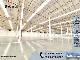 Rental of industrial property in Puebla