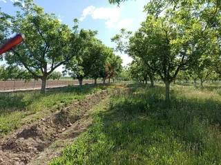Rancho Nogalero Renta Delicias Chihuahua 15,000 Clater RGC