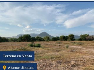Venta Terreno Campestre/San Miguel Zapotitlan/Ahome Sinaloa