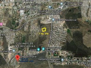 Los Olvera VENTA TERRENO 1 Hectárea de OPORTUNIDAD !