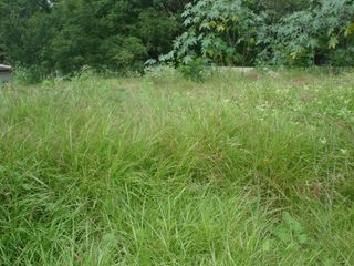 Terreno Urbano en Caudillo del Sur Yautepec - BER-174-Tu4