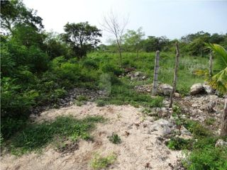 Terreno en venta de 1 hectárea zona norte  en Mérida Yucatán