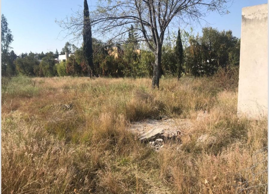 Venta de Terreno de 6000 m2 A $ 4,200.00 EL METRO TOTAL $25,200.000.00 ...